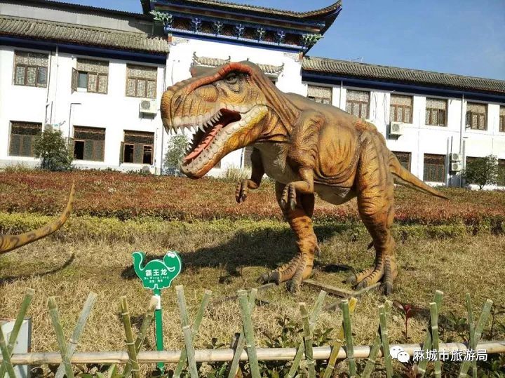大別山民俗文化旅游節 (28).jpg